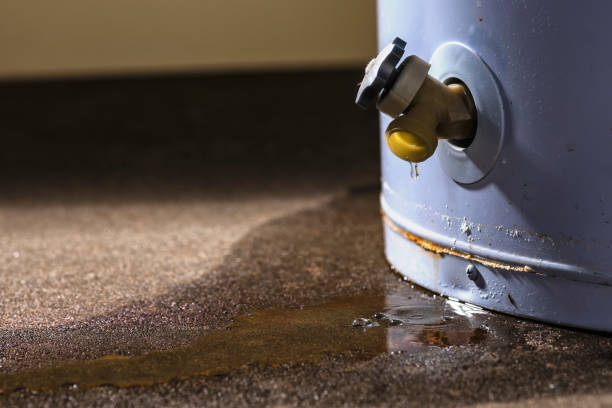 Best Flood damage cleanup  in Woodbury, TN