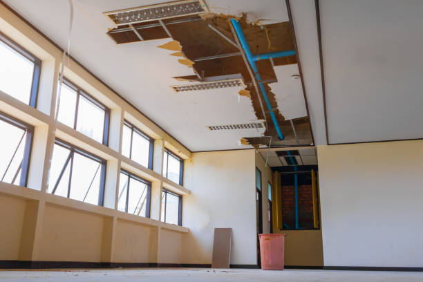 Best Flooded house restoration  in Woodbury, TN