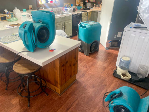 Best Water damage contractors near me  in Woodbury, TN