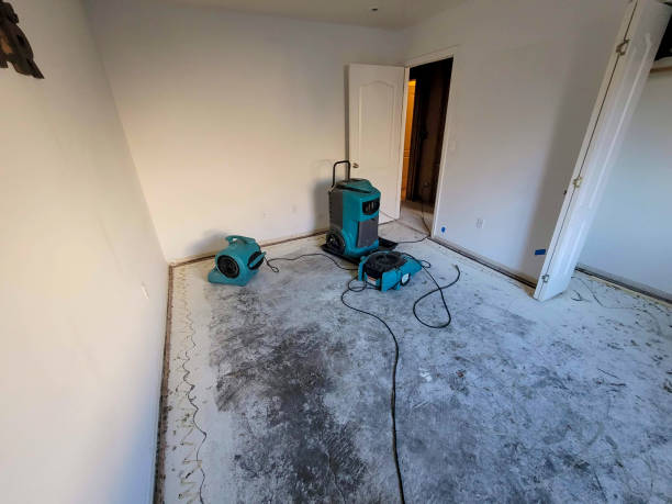 Best Basement water damage restoration  in Woodbury, TN