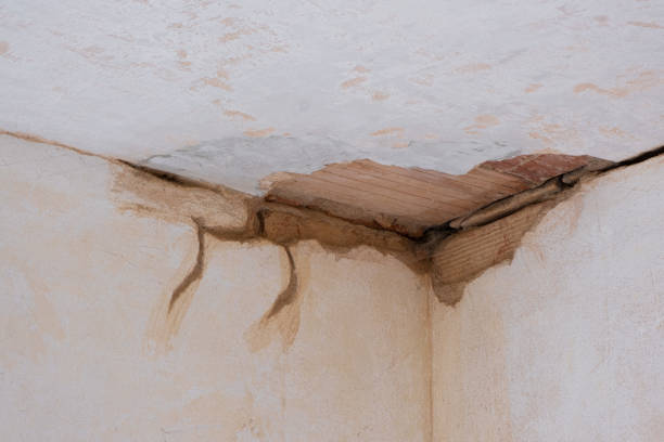 Best Emergency water damage restoration  in Woodbury, TN