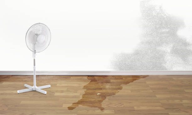 Best Water damage restoration near me  in Woodbury, TN