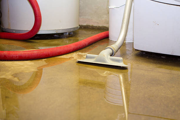 Reliable TN Water damage restoration Solutions