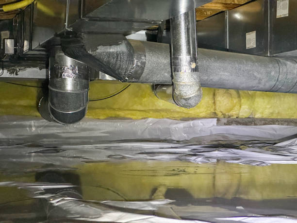 Best Carpet water damage restoration  in Woodbury, TN