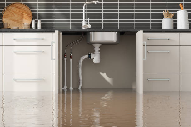  Woodbury, TN Water damage restoration Pros
