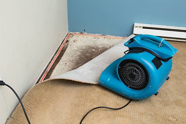 Best Water damage restoration services  in Woodbury, TN